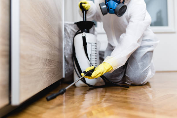 Best Affordable Pest Control Services  in Algood, TN