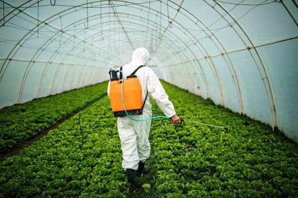 Reliable Algood, TN Pest Control Solutions