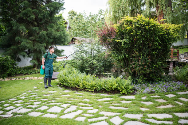 Best Best Pest Control Companies  in Algood, TN