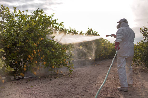 Flea Control Services in Algood, TN