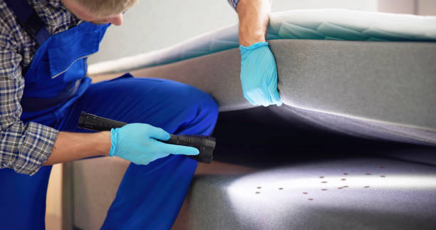 Best Mosquito Control Services  in Algood, TN