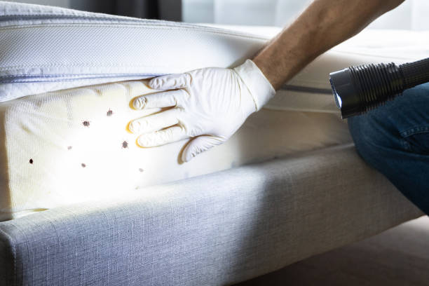 Pest Control for Restaurants in Algood, TN