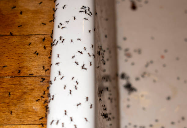 Pest Control Cost in Algood, TN