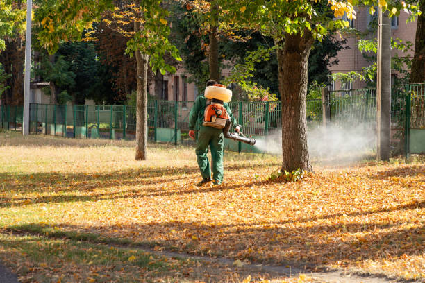 Best Pest Removal Services  in Algood, TN