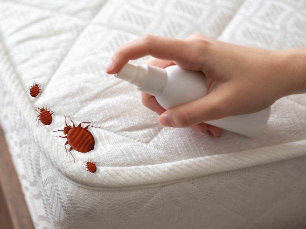 Best Cockroach Control Services  in Algood, TN