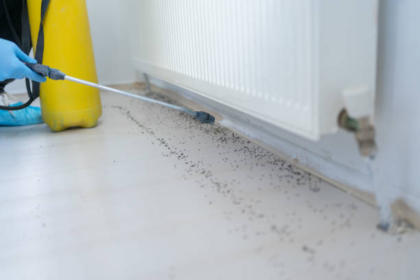 Best Pest Control for Restaurants  in Algood, TN